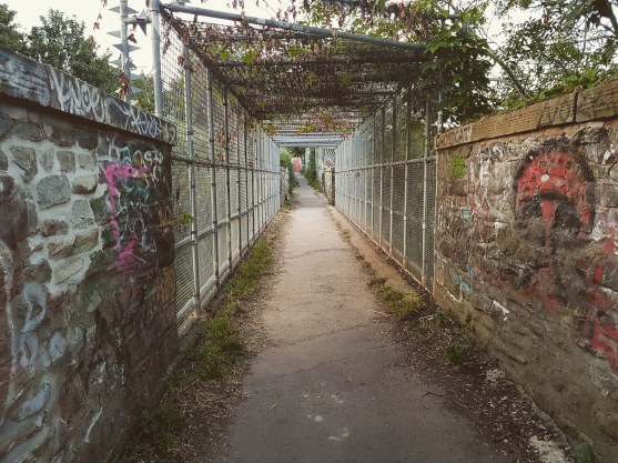 IMG_20180612_222318_396